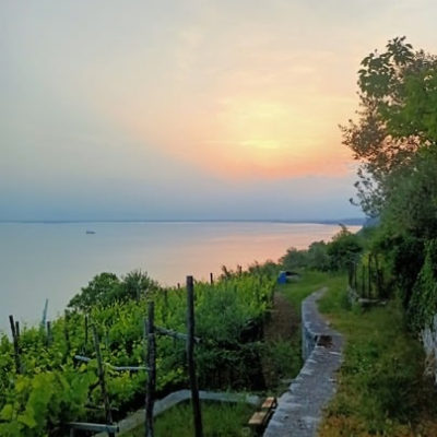 ENOTECA HORTIS Trieste